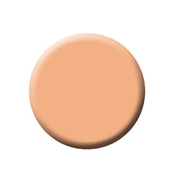 Fixx R3 Pan