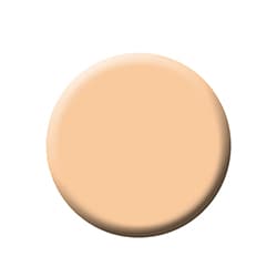 Fixx R1 Pan